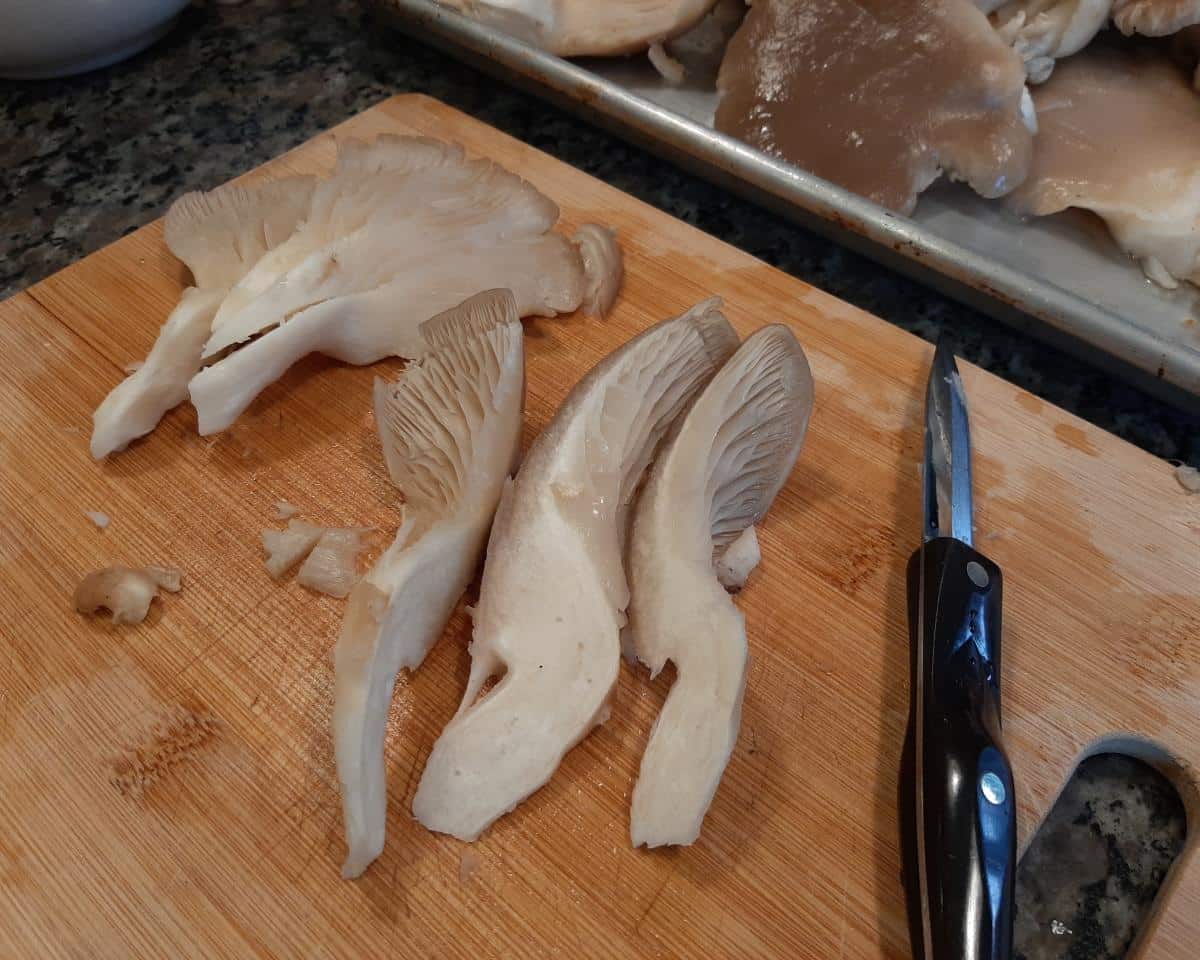 cutting oyster mushrooms